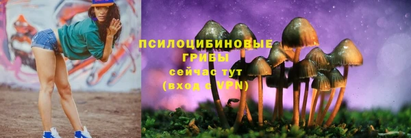 первитин Алексеевка